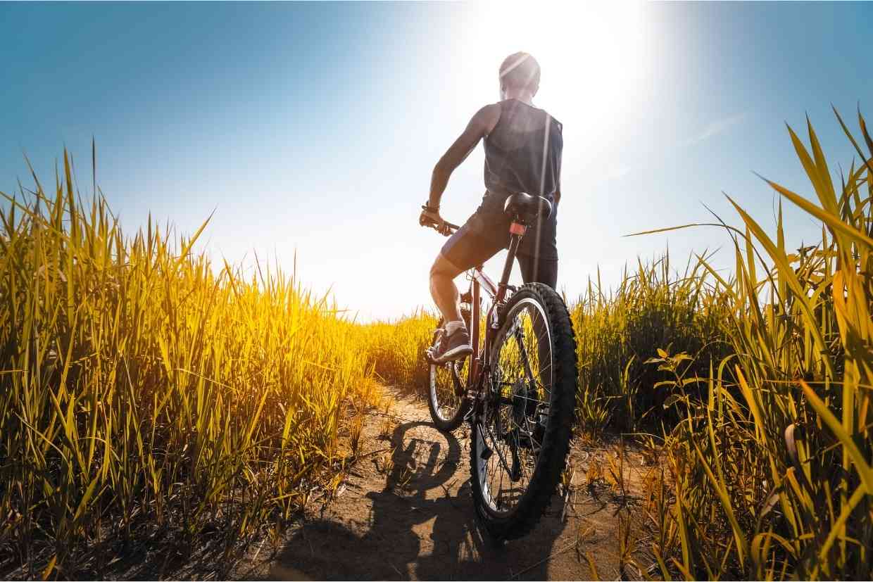 Ciclista parado numa trilha sobre sua bike aro 29 de MTB, com mato limitando o caminho pelos dois lado e um céu azul no fundo da imagem.