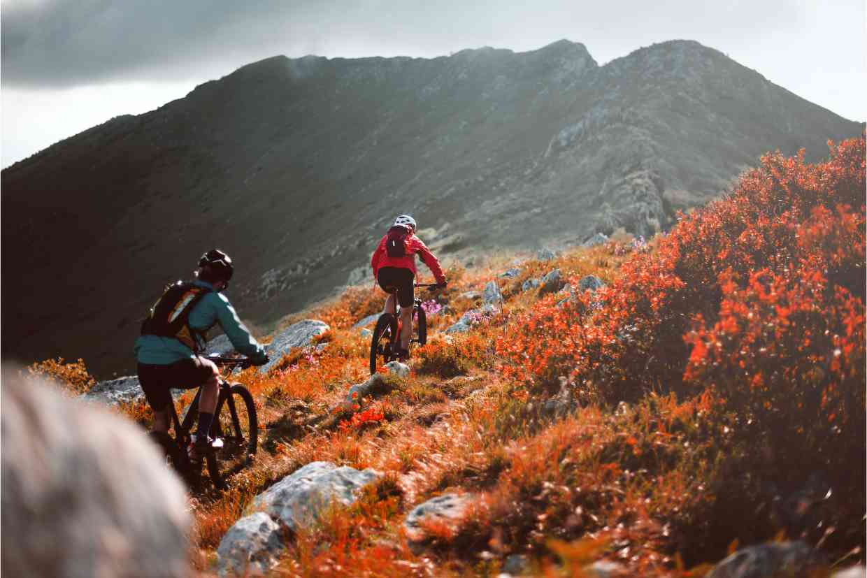 Dois ciclistas pedalando numa trilha íngreme rodeados de vegetação e flores coloridas, com suas bikes aro 29, enquanto visualizam uma enorme montanha cinza ao fundo.