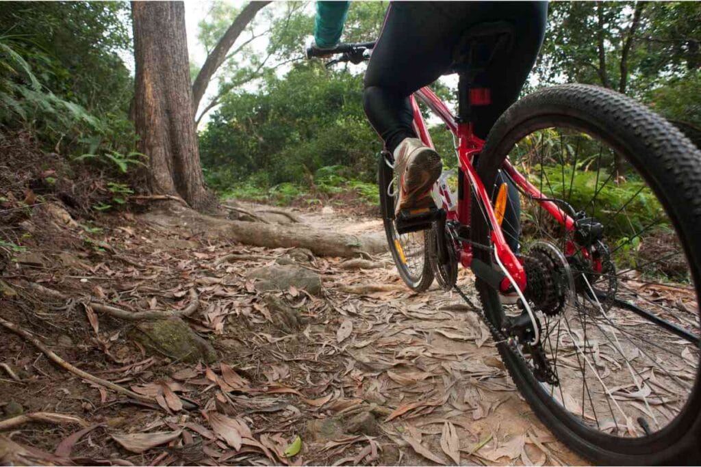 Bike aro 29 de MTB numa trilha de terra, onde o ciclista vence obstáculos como raízes e pedras ao longo do percurso.