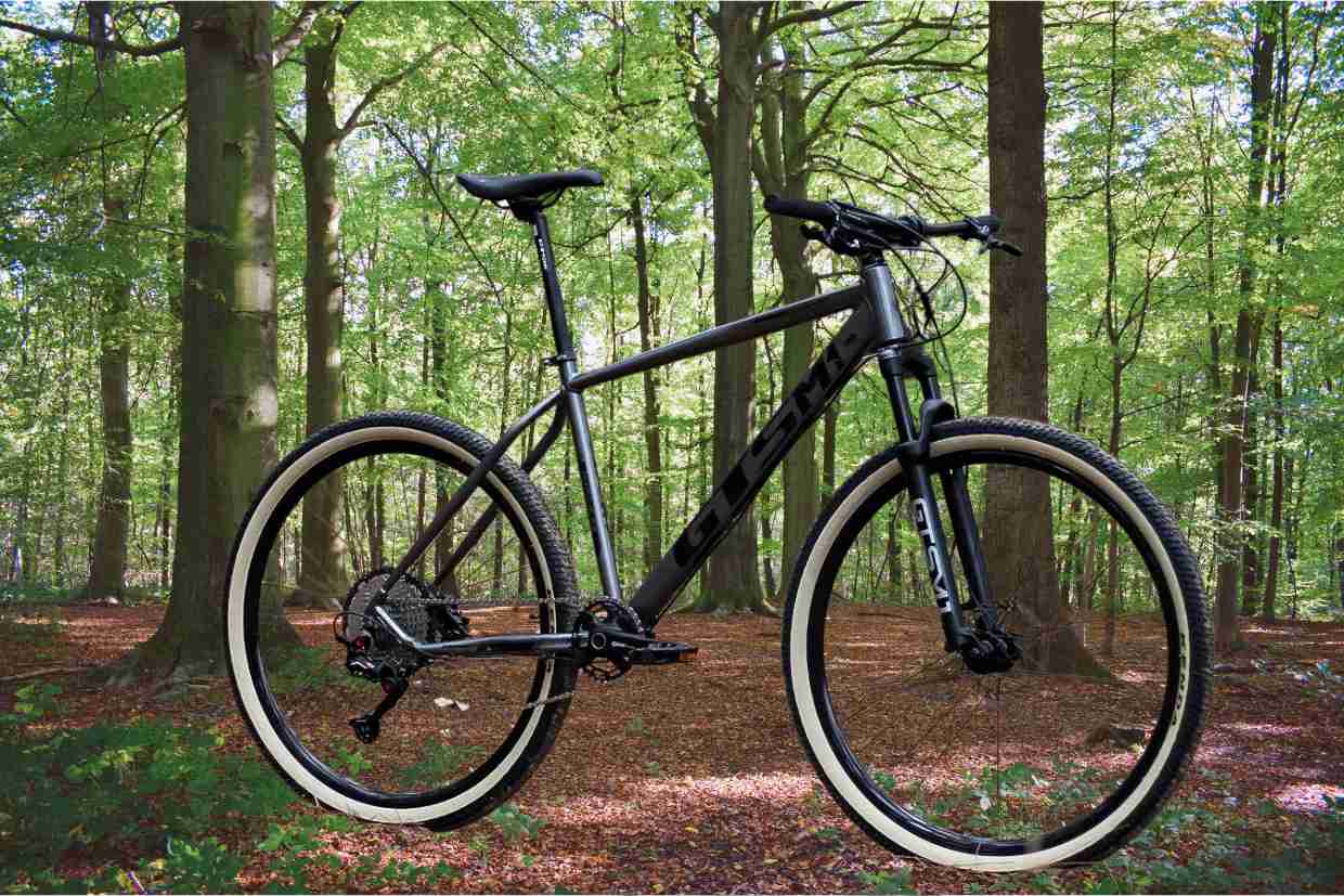Bicicleta GTS M1 cinza-escuro posicionada em meio a uma floresta iluminada pela luz do sol.