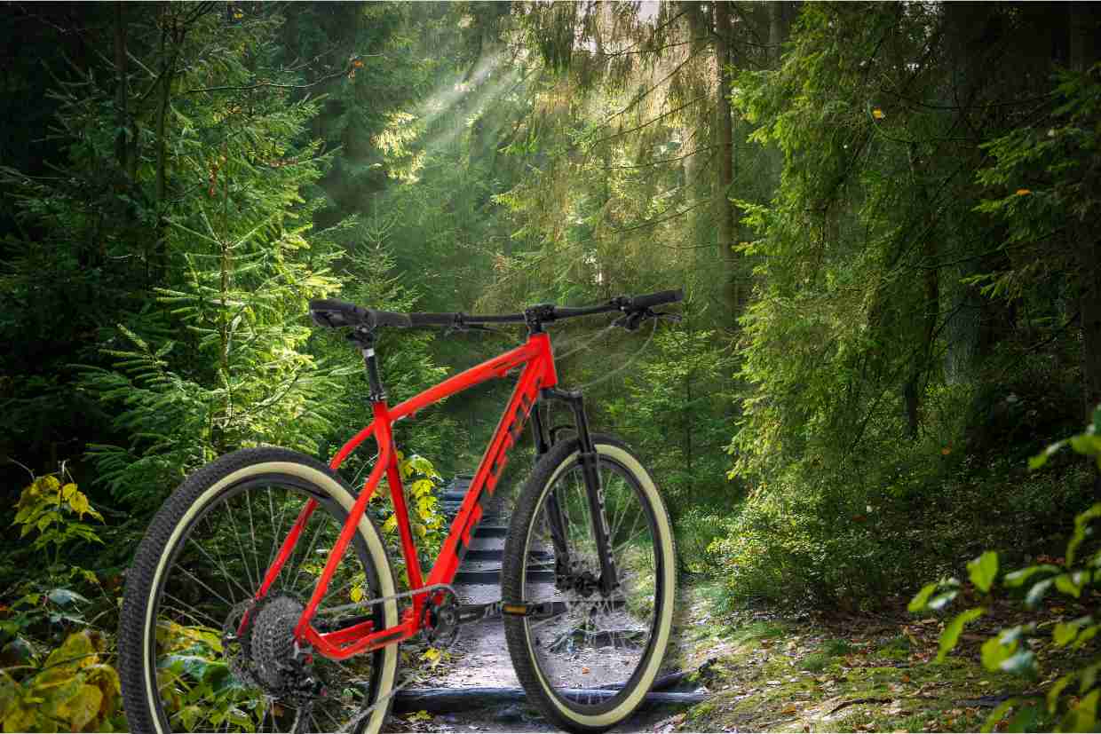 Bicicleta GTS M1 vermelha posicionada em uma trilha na floresta, com luz do sol atravessando as árvores.