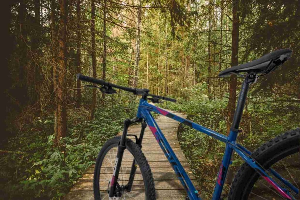 Bicicleta Sense Fun num caminho sinuoso de placas de madeira no meio de uma floresta densa.