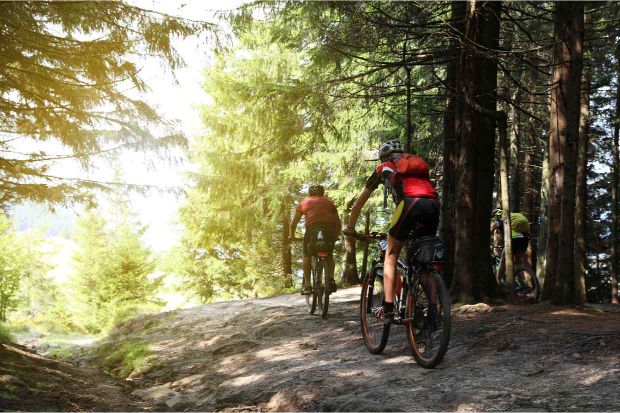 Ciclistas pedalando por trilha em floresta durante o dia, com sol filtrado pelas árvores. Upgrades na bike não são apenas peças — eles expandem seus horizontes e aumentam sua liberdade nas trilhas.