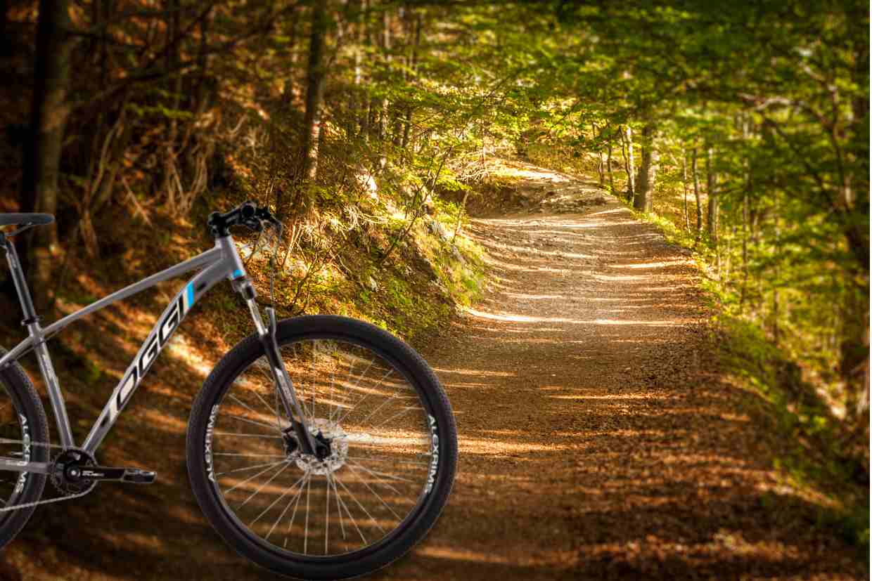 Imagem de uma trilha ao fundo com a suspensão dianteira da bicicleta Oggi Big Wheel 7.0 em primeiro plano.