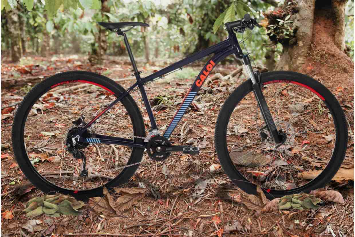 Bicicleta aro 29 Caloi Moab posicionada sobre folhas secas em solo de floresta