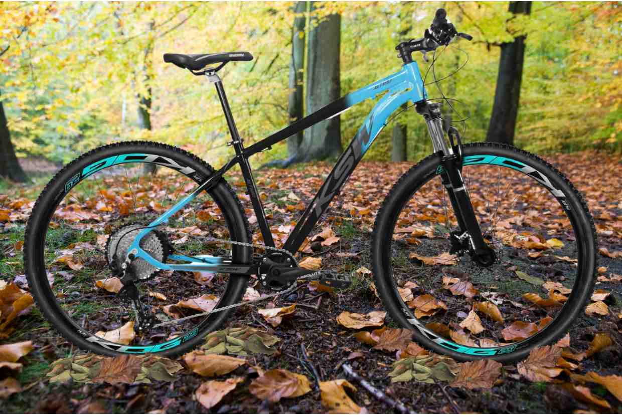 Bicicleta aro 29 KSW posicionada em solo coberto de folhas secas em floresta de outono.