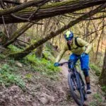 Ciclista em trilha arborizada usando capacete enduro MTB e viseira, descendo curva entre raízes e galhos.